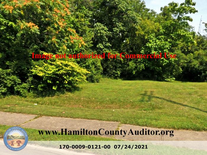 Photo 07/24/2021